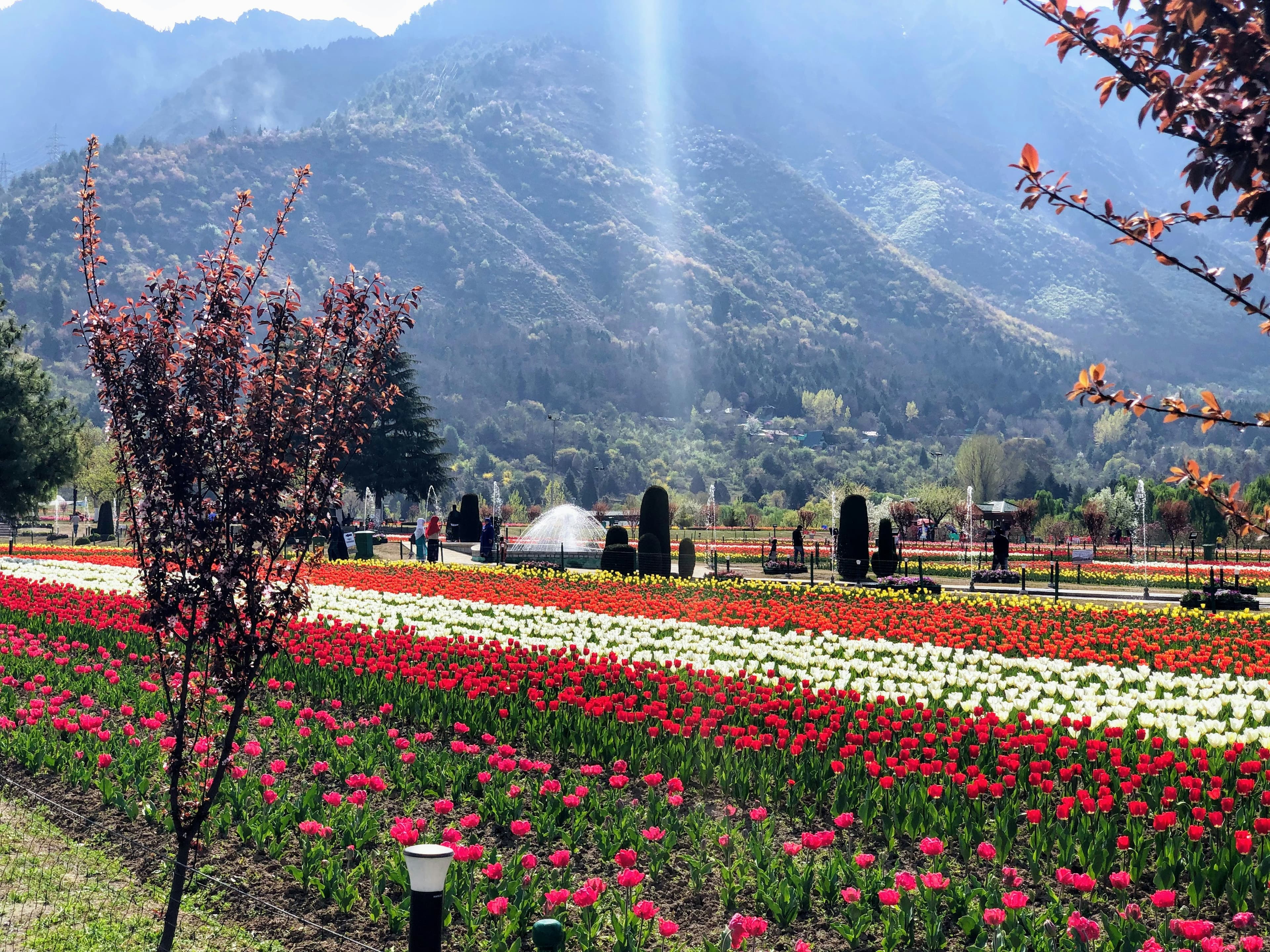 Kashmir Couple Package